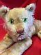 Lion Lioness Cub Steiff Mohair Stuffed Animal Plush Green Eyes Laying Vintage