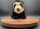 Lot Of 24 Plush Black Bear Brown Floppy Animal Kingdom Collection Bulk Buy New