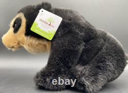 Lot of 24 Plush Black Bear Brown Floppy Animal Kingdom Collection Bulk Buy NEW