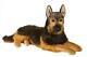 Major The Plush German Shepherd Dog Stuffed Animal Douglas Cuddle Toys #2464