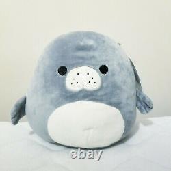 Matt the 8 Gray Manatee Squishmallow Stuffed Animal Toy Plush