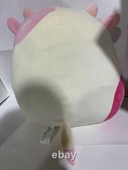 NEW 12'' Squishmallow Caedyn Cow Valentines Soft Plush Toy Animal