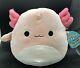 Nwt Squishmallows Archie The Light Pink Axolotl Very Hard To Find 12 Plush