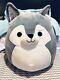 Nwt Squishmallows Great Wolf Lodge Exclusive Plush Very Hard To Find