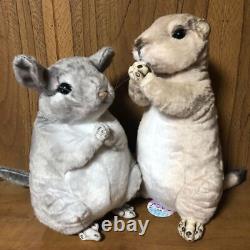 New Animal Begging Prairie Dog Chinchilla Plush Animal