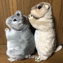 New Animal Begging Prairie Dog Chinchilla Plush Animal