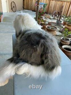 Old English Sheepdog Super Jumbo Cute Plush Floppy dog Toy X-Large sz RARE