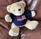 Polo Ralph Lauren Stuffed Animal Plush Teddy Bear Limited Dolls Vintage 1996