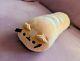 Pusheen Baguette Loaf Bread Squisheen Plush Rare