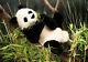 Panda Bear Plush Collectable Soft Toy Kosen / Kösen 6610 28cm