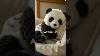 Pandy Soft Panda Plush For Relaxation