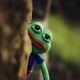 Pepe The Frog Plush Hashtag Collectibles Uncute Matt Furie