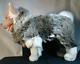 Piutre 14 Tall Akita Plush Dog Made In Italy Stuffed Animal Toy