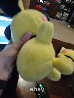 Pokemon Center Tufty Pichu Plush 2001 11 and Brother (Normal) pichu 16 Great