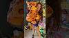 Pumpkinkitty Buildabear Buildabearworkshop Plush Plushie Halloween Spookyseason