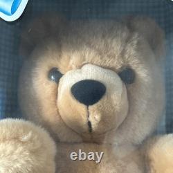 RARE IN BOX 1990 Playskool Teddy Bear Vintage Stuffed Animal Plush Toy 12 5149