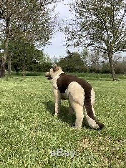 RARE LARGE VTG Applause Avanti Jockline GERMAN Shepard Dog Plush! Stuffed Toy