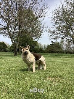 RARE LARGE VTG Applause Avanti Jockline GERMAN Shepard Dog Plush! Stuffed Toy