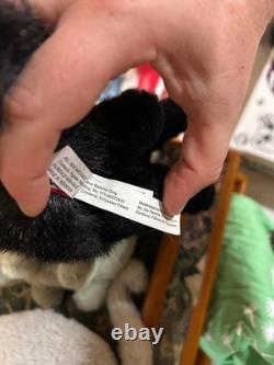 RARE RETIRED RAZOR the Plush BADGER Stuffed Animal Douglas Cuddle Toys #4096