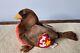 Retired Ty Beanie Baby Early The Robin Bird 1997 With Tags Plush Stuffed Animal