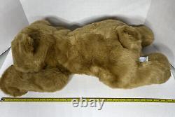 Rare JUMBO 25 Vintage Swibco 1998 St Jude's Espresso Bear Stuffed Animal Plush