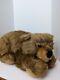 Rare Steiff Germany 075698 Grizzly Brown Bear Stuffed Animal Plush New