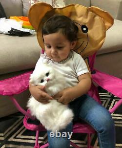 Realistic Persian Cat Pet Plush, Kids And Children Stuffed Animal Hard Toy Doll