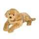 Sherman The Plush Golden Retriever Dog Stuffed Animal Douglas Cuddle Toys #2459