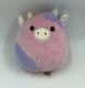 Squishmallows Very Rare Plush Patty The Cow Pink/purple Easter Edition 6