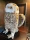 Steiff Studio Owl 2593/28, Rare Plush Stuffed Animal With Origianl Tag, Vintage