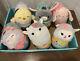 Squishmallow 4.5 Caedia Cow Easter Mystery Egg Capsule Complete Set New Rare