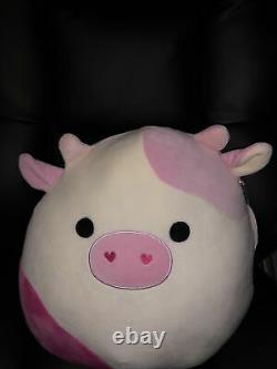 Squishmallow Caedyn 12 Pink Cow (Kellytoy) NEW with tag Valentine's In Hand NWT