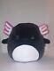 Squishmallow Jaelyn Black Plush 12 Axolotl Brand New With Tags Squishmallows