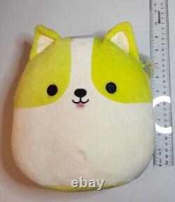 Squishmallow Reginald Corgi Dog 8 Plush Yellow Neon Green 2019 with Tags