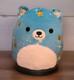 Squishmallow Star Make-a-wish 13.5 Blue Plush Rare