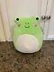 Squishmallow Valentines Philippe The Frog Plush Heart Cheeks 8 Nwt