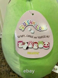 Squishmallow Valentines Philippe The Frog Plush Heart Cheeks 8 NWT