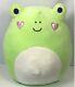 Squishmallow Valentines Philippe The Frog Heart Cheeks 8 Inches Stuffed Plush
