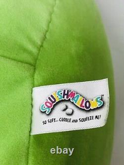 Squishmallows 15 Philippe Green Frog Plush Kellytoy 2017 Heart Cheeks Phillippe