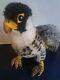 Steiff Faky Falcon Bird Hawk Tag Ear Button Stuffed Animal Plush