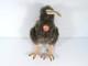 Steiff Kiwi Bird 120015 Stuffed Animal Plush Germany Vintage 10 1/2 Tall Tags