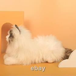 Stuffed Animals Plush Toy Cat, Real Size and Ragdoll Cat(Lying)