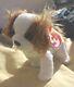 Ty Beanie Baby 2000-2001 Regal Dog Beanie Baby Stuffed Animal Plush