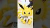 They Made Life Sized Eeveelutions Plush