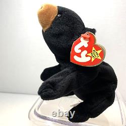 Ty Beanie Baby Blackie The Bear Plush Toy w 18 Errors, Stuffed Animal, Retired