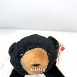 Ty Beanie Baby Blackie The Bear Plush Toy w 18 Errors, Stuffed Animal, Retired