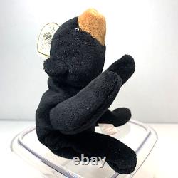 Ty Beanie Baby Blackie The Bear Plush Toy w 18 Errors, Stuffed Animal, Retired