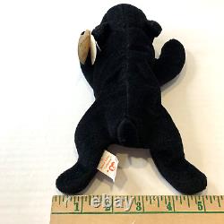 Ty Beanie Baby Blackie The Bear Plush Toy w 18 Errors, Stuffed Animal, Retired