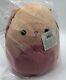 Unreleased Squishmallow Brinkley Bunny Hombre 14 Pink Belly 10/22 Date Plush