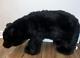 Vtg Ditz Design Black Bear Plush Grizzly Foot Stool 30 Plush Stuffed Animal